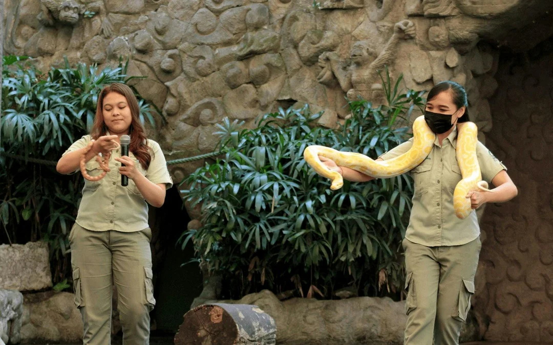 Bali Safari Park Tickets: Day/Night Safari & Optional Meals Image 3