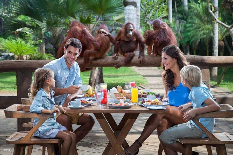 Bali Zoo Breakfast with Orangutan | Intimate Wildlife Dining Experience at Bali Zoo | Departure from Bali