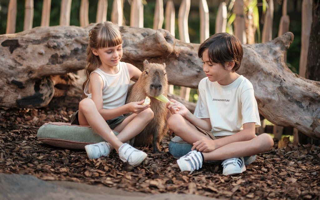 Bali Zoo Combo: Entry Ticket, Breakfast with Orangutans & Elephant Mud Fun Image 12