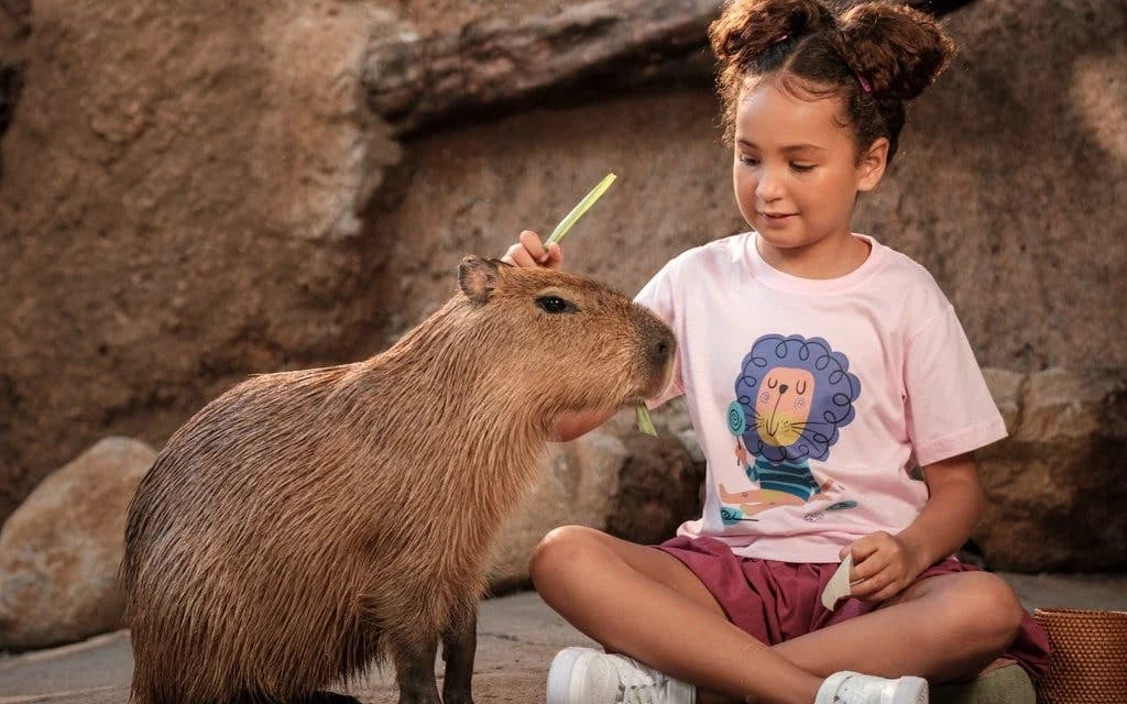 Bali Zoo Combo: Entry Ticket, Breakfast with Orangutans & Elephant Mud Fun Image 7