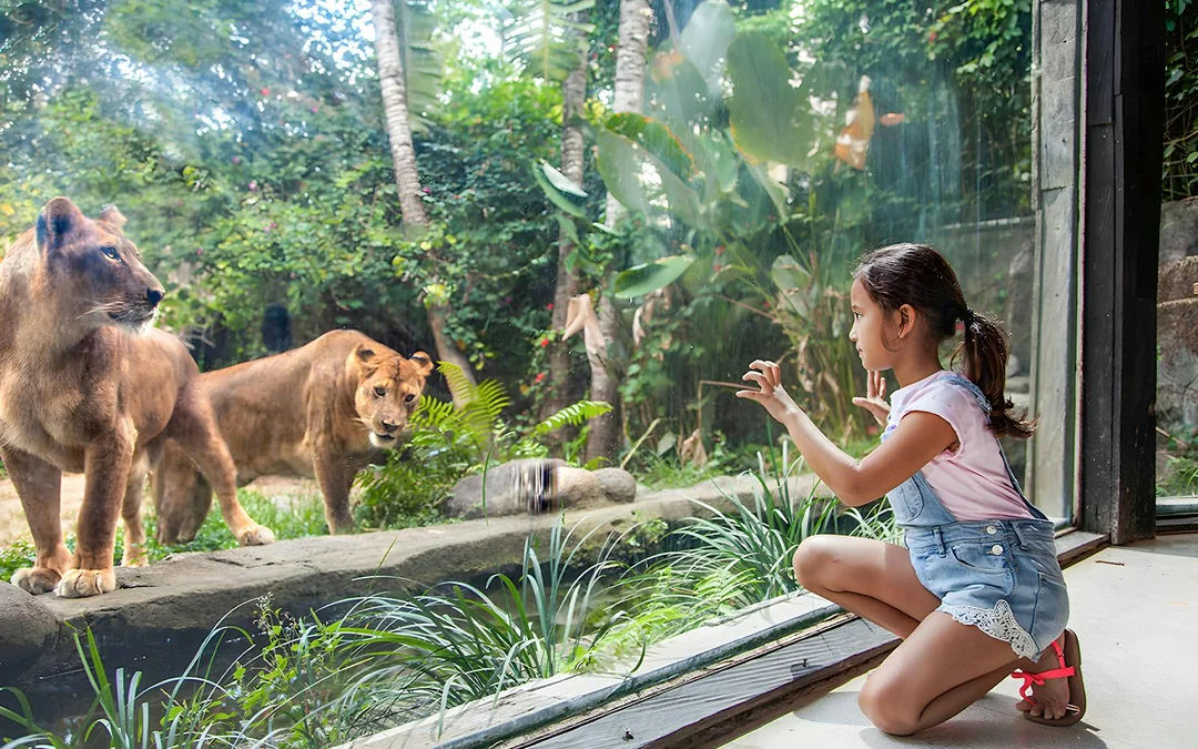 Bali Zoo Entry Tickets  Image 2