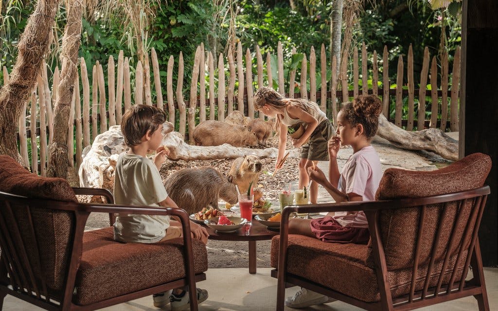Bali Zoo Entry Tickets  Image 3