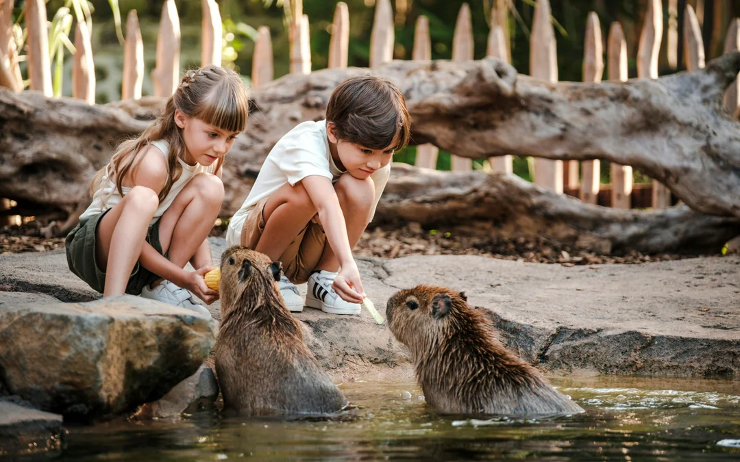 Bali Zoo Tickets with Capybara Interaction & Optional Brunch Image 3