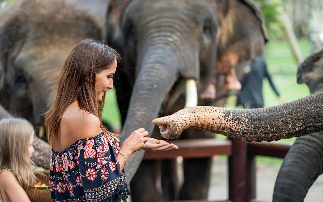  Bali Zoo Tickets with Elephant Feeding & Mud Bath 
 Image 2