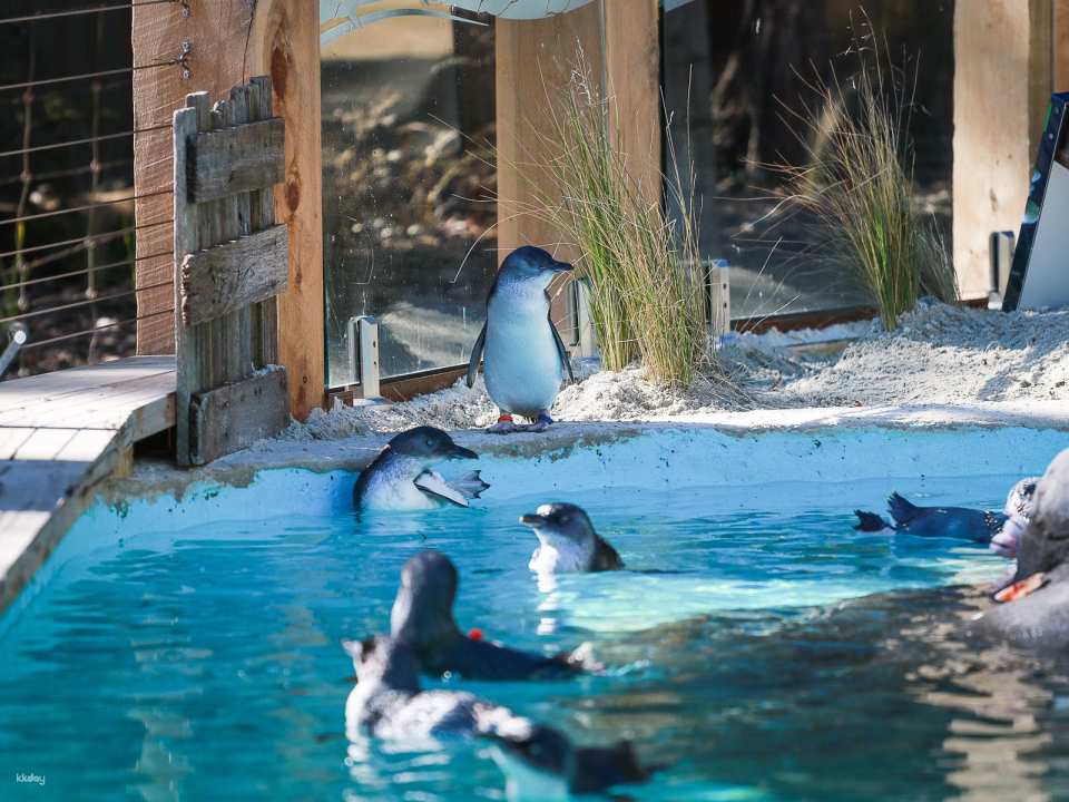 Ballarat Wildlife Park Entry Ticket | Victoria