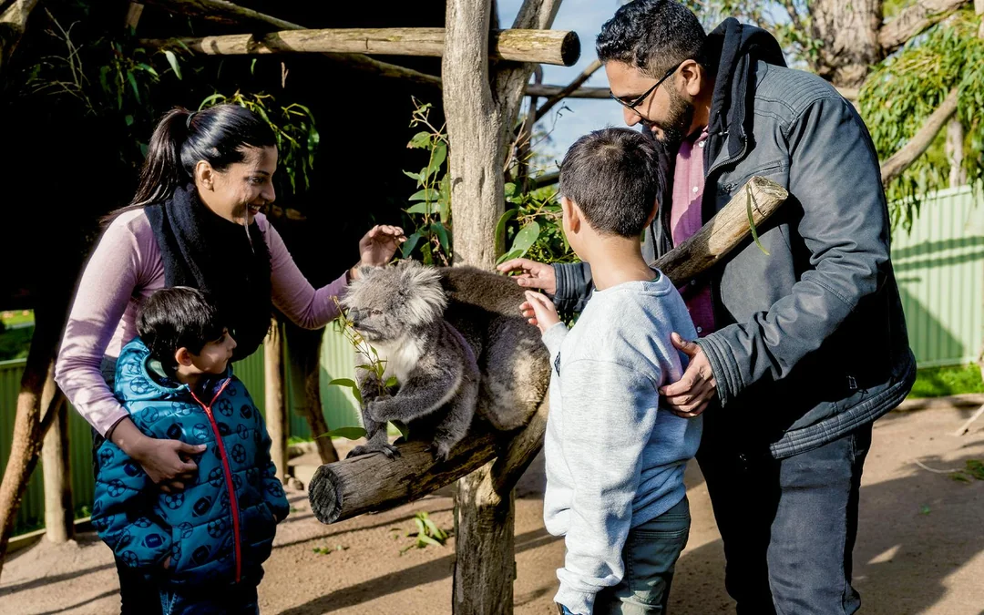 Ballarat Wildlife Park Tickets Image 2
