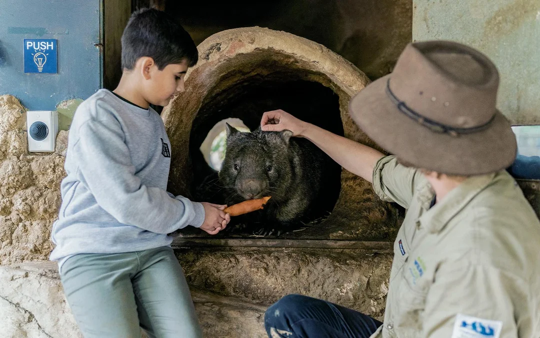 Ballarat Wildlife Park Tickets Image 3