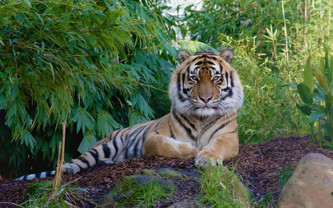 Ballarat Wildlife Park Tickets Image 5