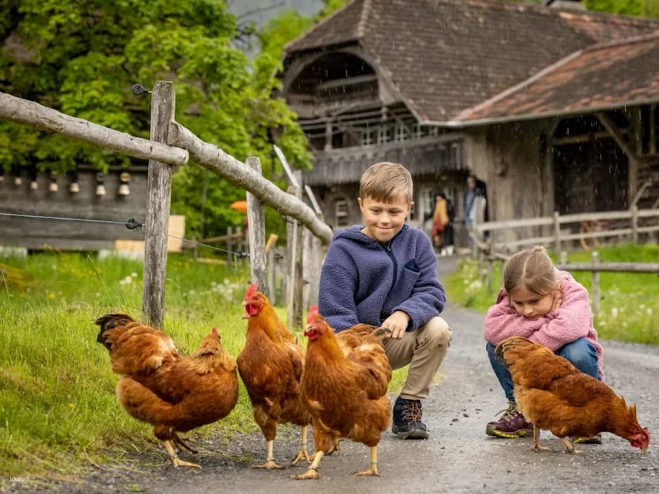 Ballenberg Open-Air Museum Tickets | Switzerland