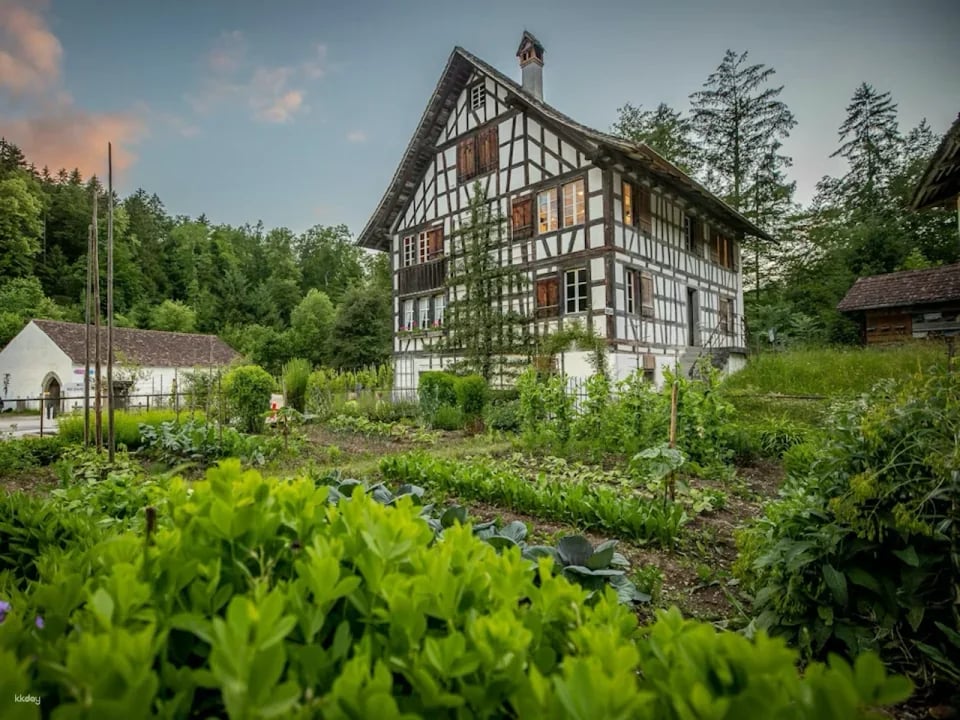 Ballenberg Open-Air Museum Tickets | Switzerland