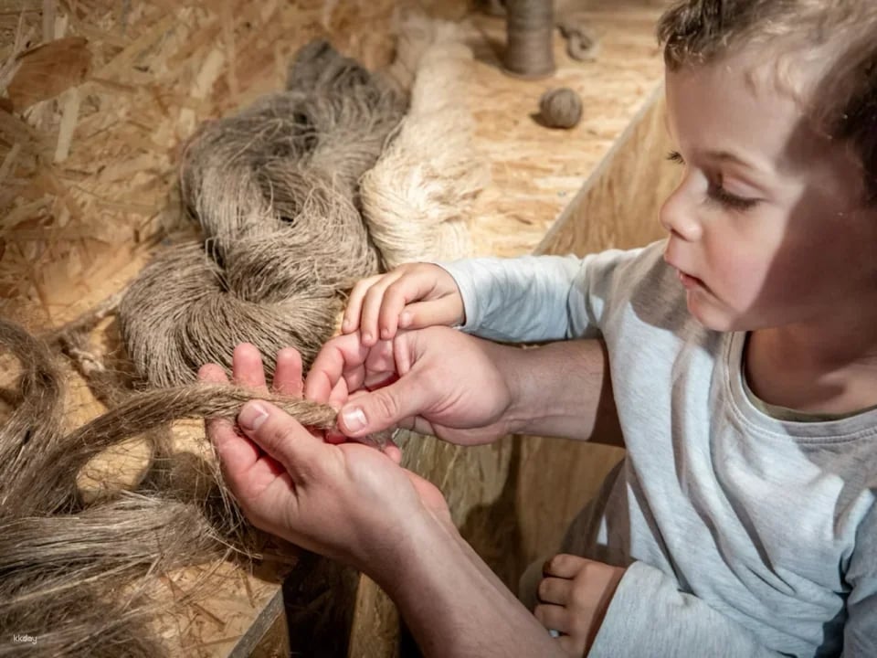 Ballenberg Open-Air Museum Tickets | Switzerland