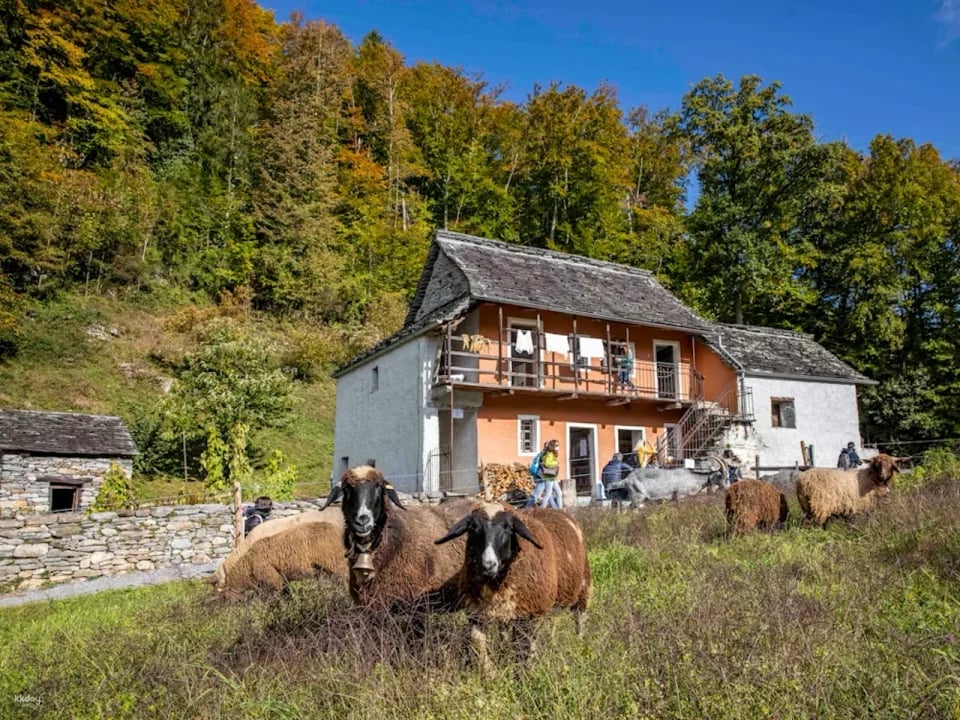 Ballenberg Open-Air Museum Tickets | Switzerland
