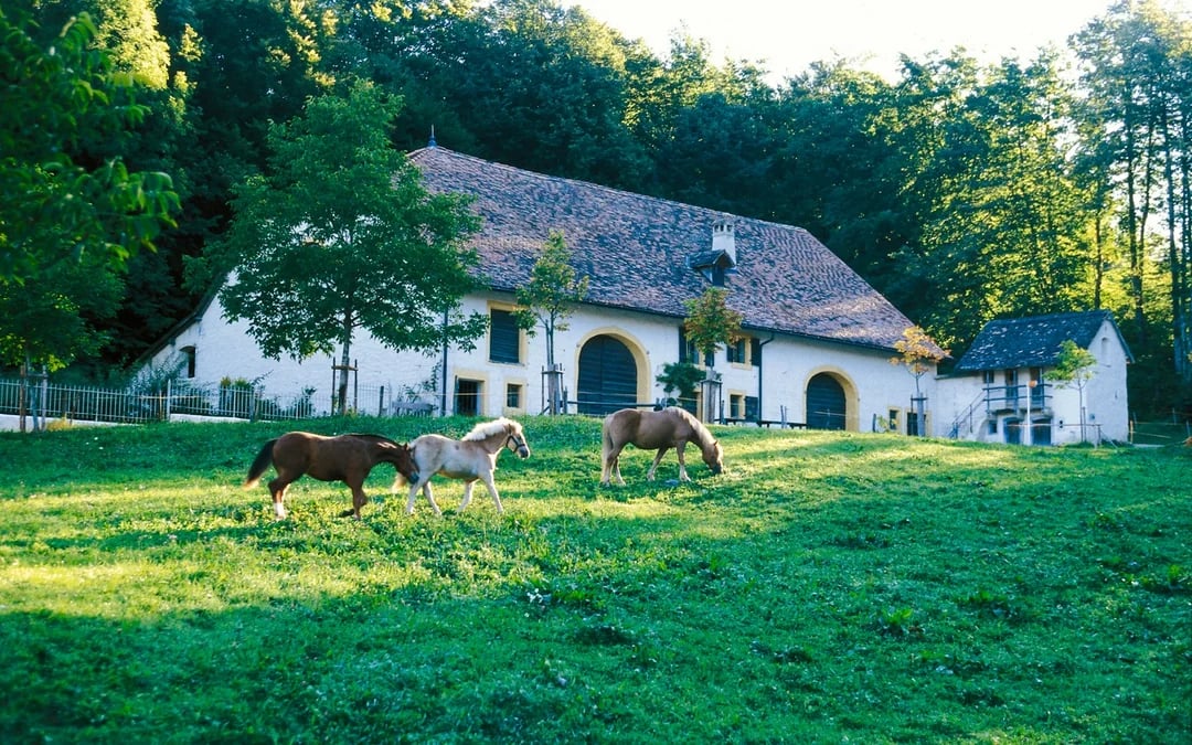 Ballenberg Swiss Open-Air Museum Tickets Image 3