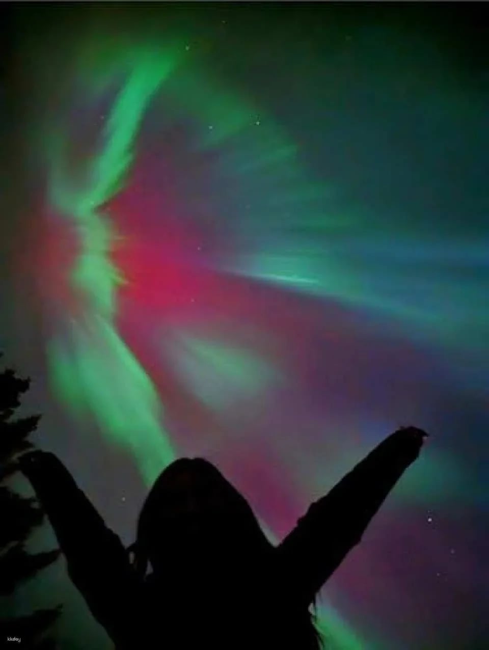 Banff's night sky adventure under the stars