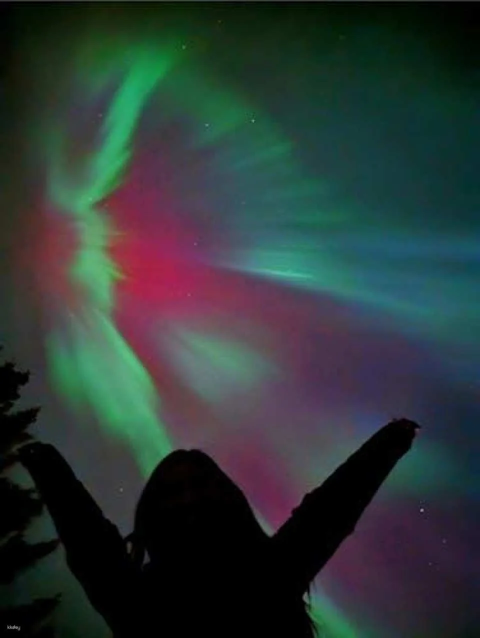 Banff's night sky adventure under the stars