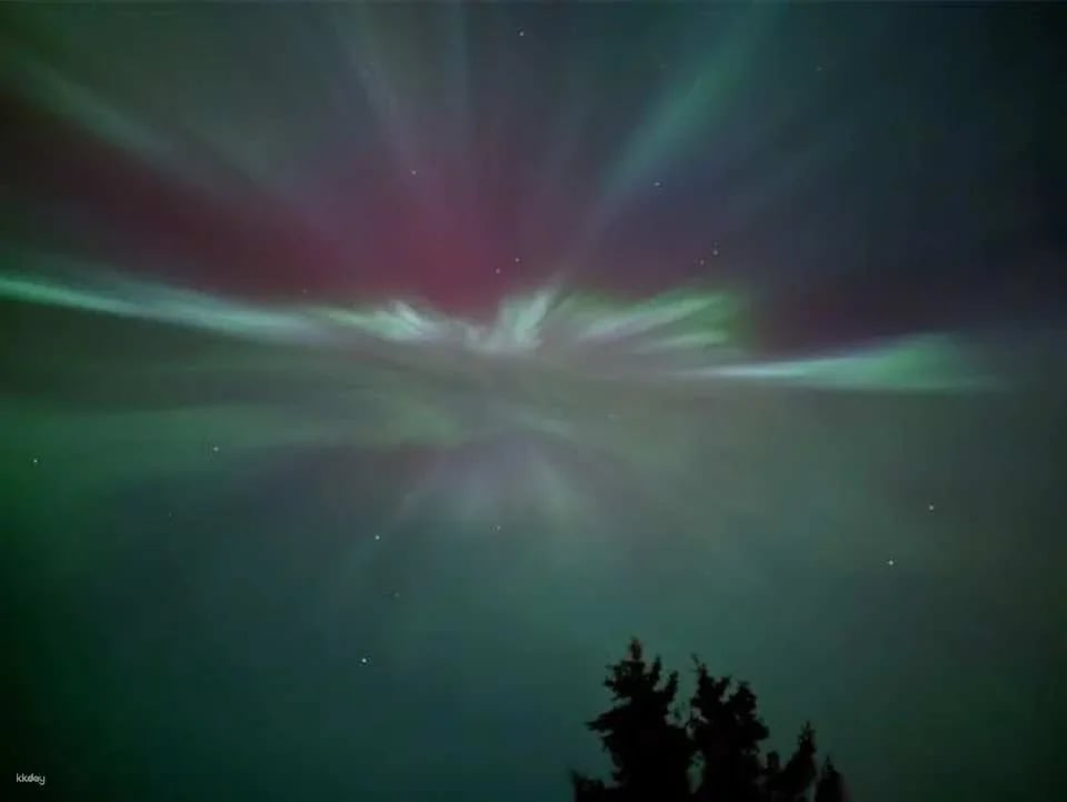 Banff's night sky adventure under the stars