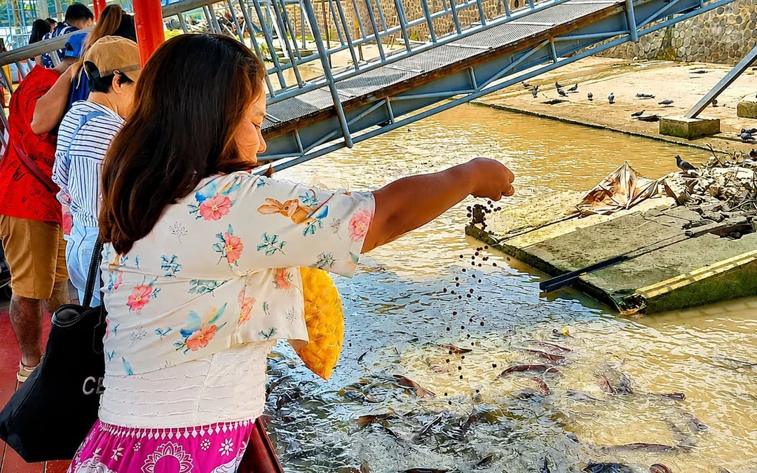 Bangkok: Ayutthaya Temples, Thai Traditions & Local Life Image 3