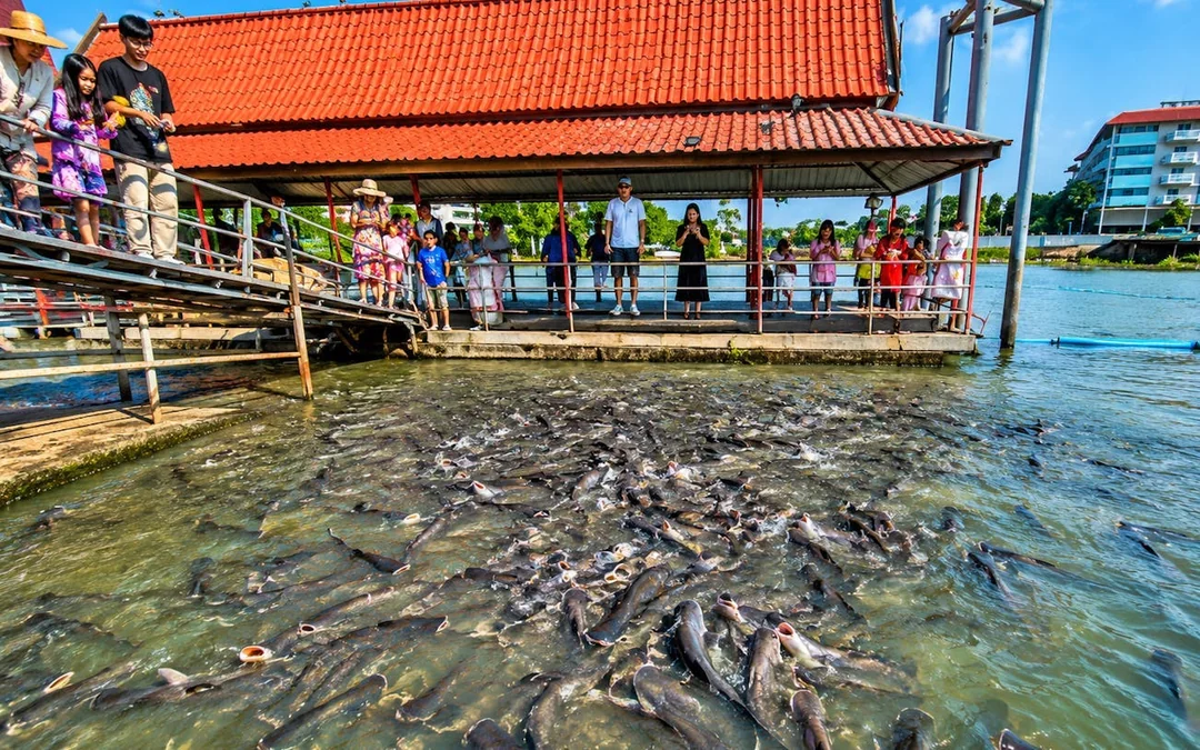 Bangkok: Ayutthaya Temples, Thai Traditions & Local Life Image 5