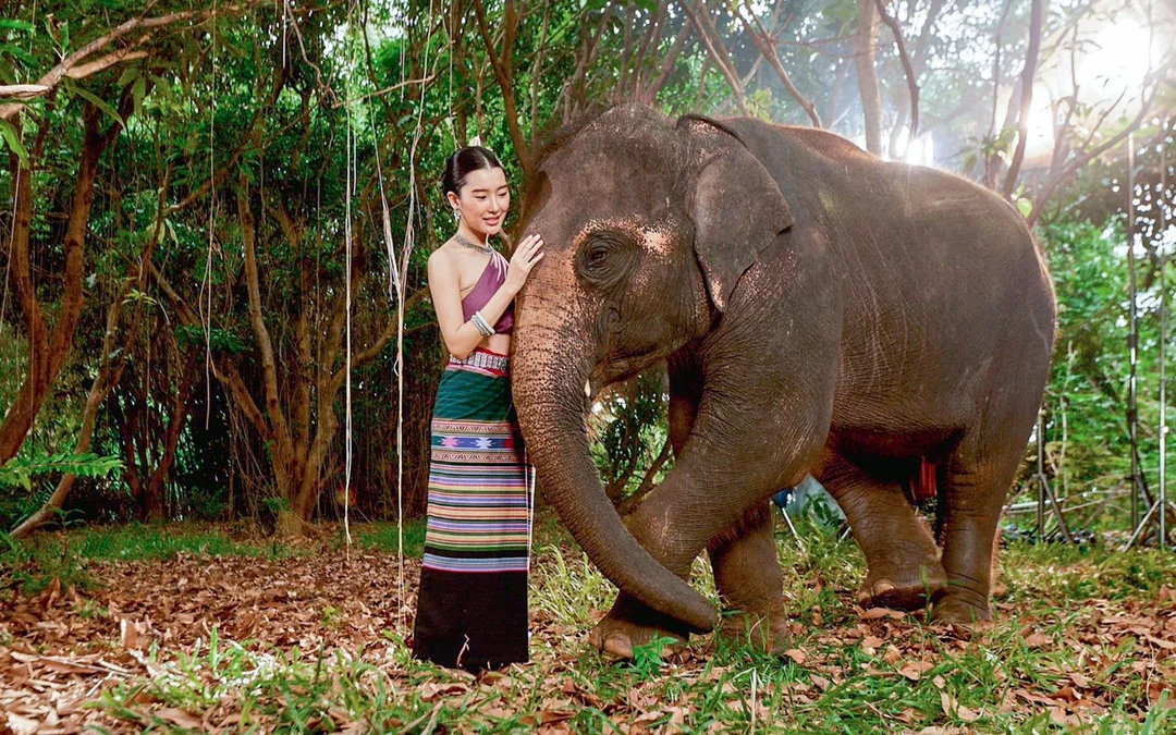 Bangkok Elephant Park Half-Day Elephant Care Experience Image 2