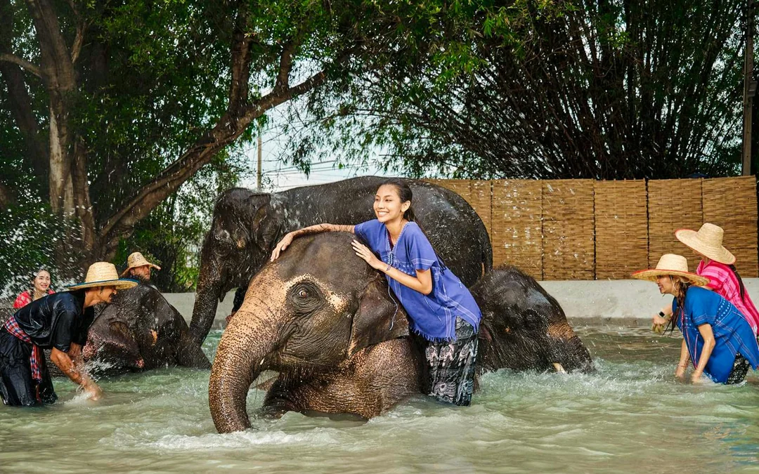 Bangkok Elephant Park Half-Day Elephant Care Experience Image 3