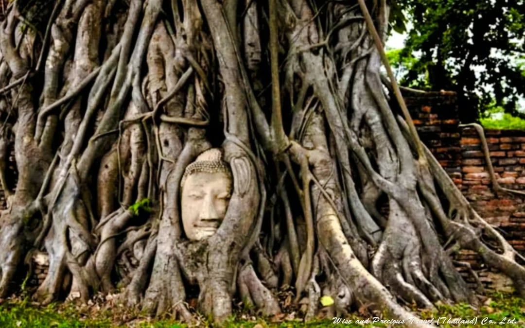 Bangkok Private Van Charter With Driver to Ayutthaya Historical Park and Floating Market Image 3