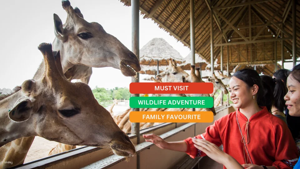 Bangkok Safari World Ticket | Thailand