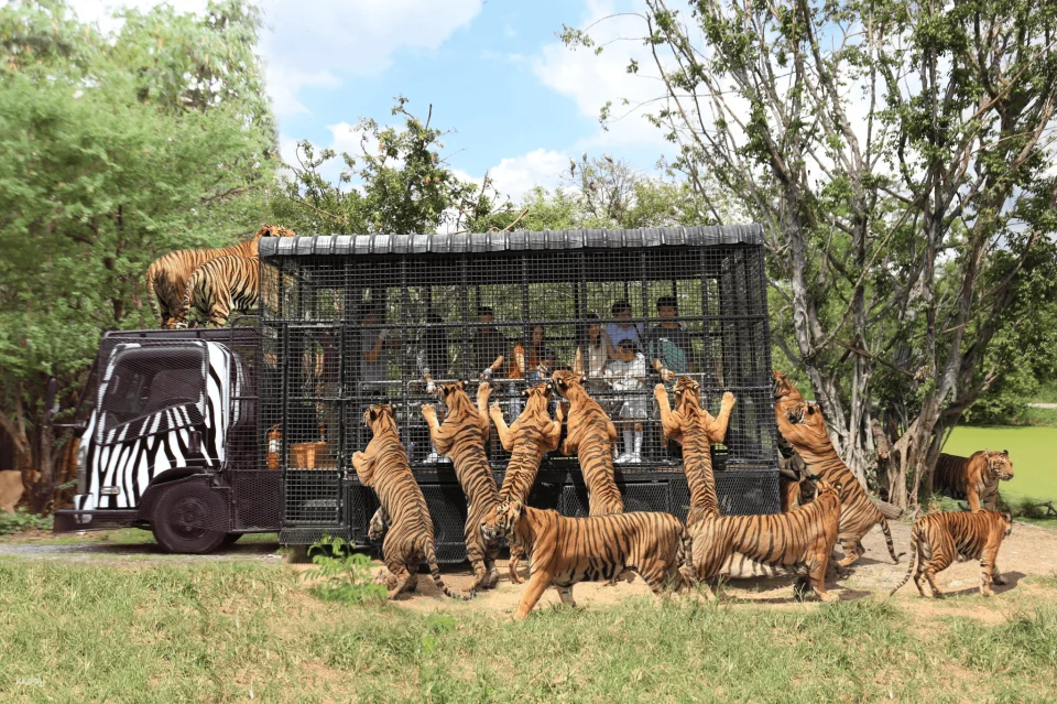 Bangkok Safari World Ticket | Thailand
