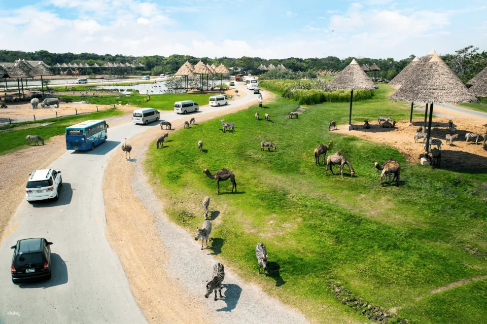 Bangkok Safari World Ticket | Thailand