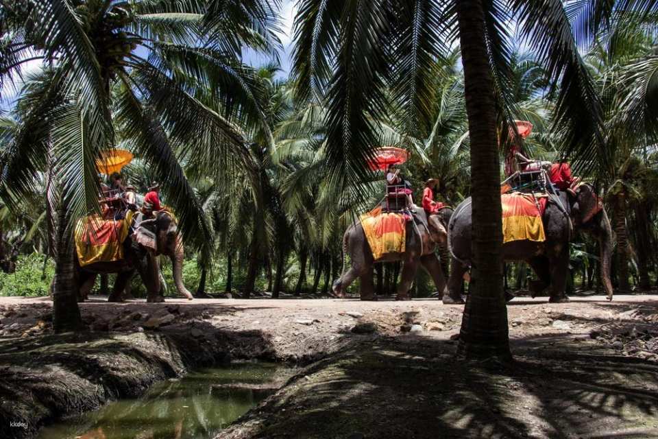 Bangkok, Thailand | Chang Puak Camp Damnoen Saduak Elephant Park | Tickets & Elephant Riding Experience & Feeding Interaction