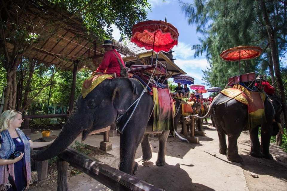 Bangkok, Thailand | Chang Puak Camp Damnoen Saduak Elephant Park | Tickets & Elephant Riding Experience & Feeding Interaction