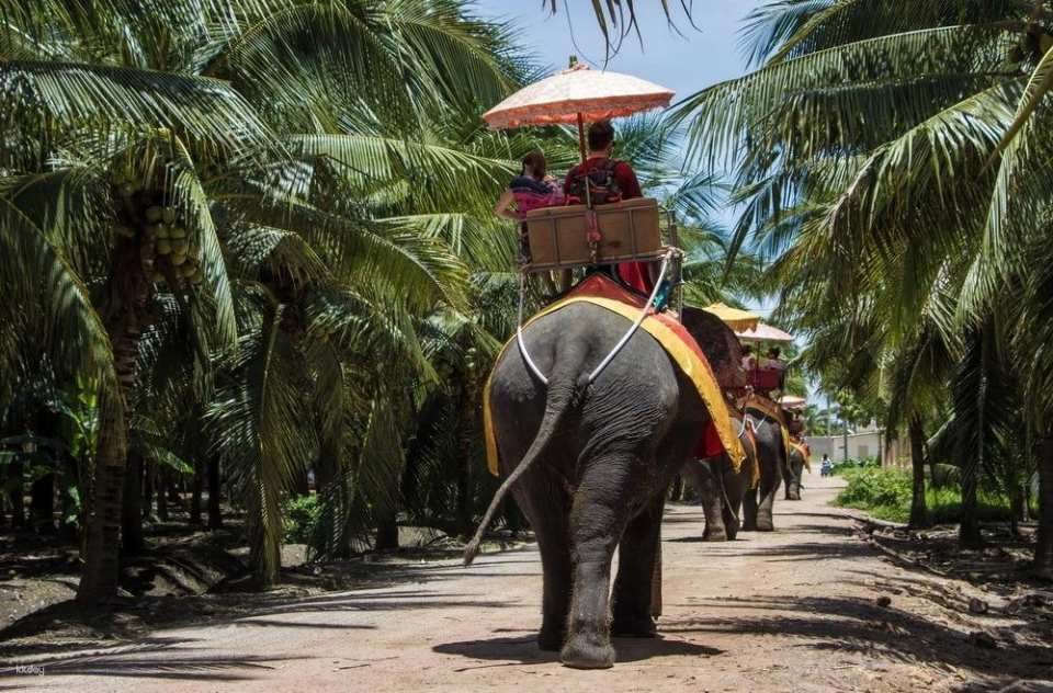 Bangkok, Thailand | Chang Puak Camp Damnoen Saduak Elephant Park | Tickets & Elephant Riding Experience & Feeding Interaction