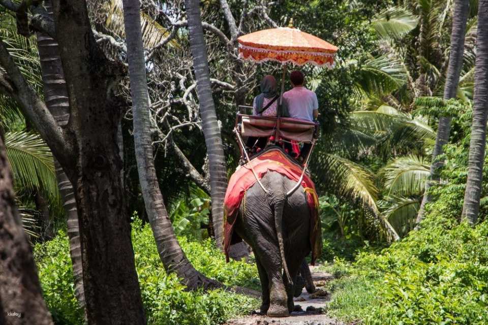 Bangkok, Thailand | Chang Puak Camp Damnoen Saduak Elephant Park | Tickets & Elephant Riding Experience & Feeding Interaction