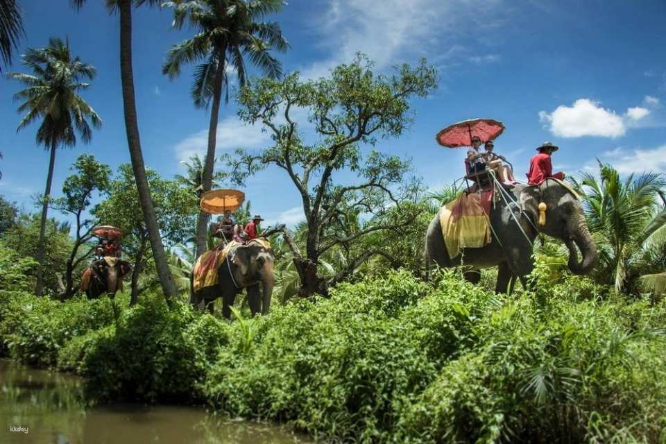 Bangkok, Thailand | Chang Puak Camp Damnoen Saduak Elephant Park | Tickets & Elephant Riding Experience & Feeding Interaction