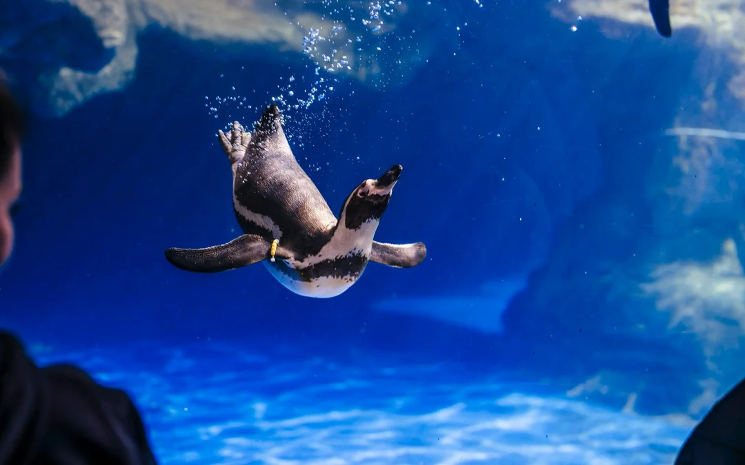 Barcelona Aquarium Flexible Entry Tickets Image 3