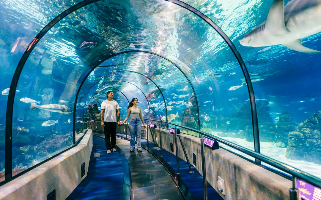 Barcelona Aquarium Flexible Entry Tickets Image 4