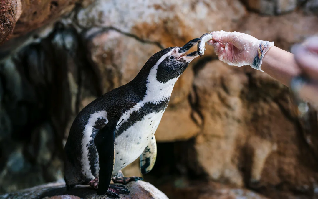 Barcelona Aquarium Flexible Entry Tickets Image 8