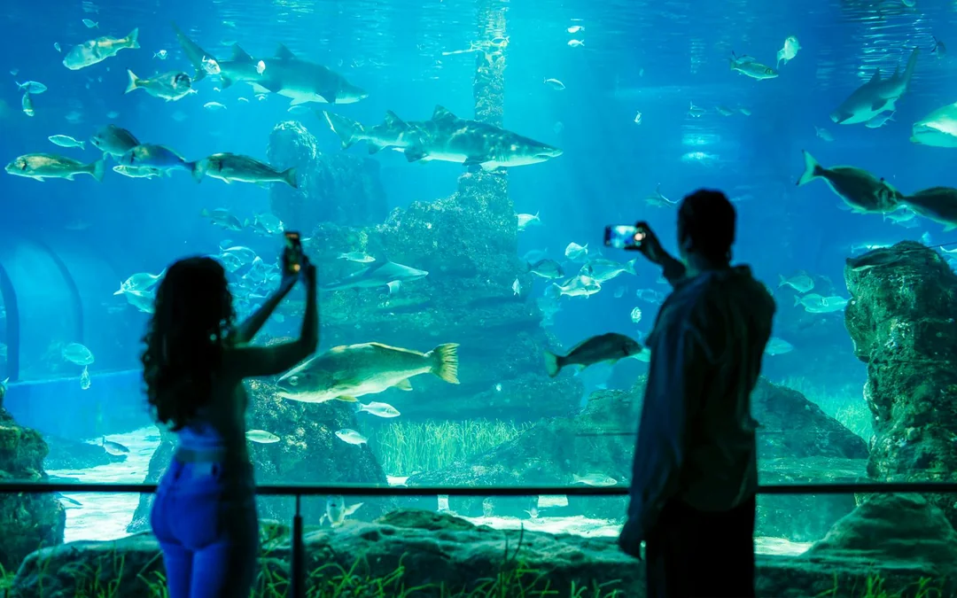Barcelona Aquarium Skip-the-Line Tickets Image 2