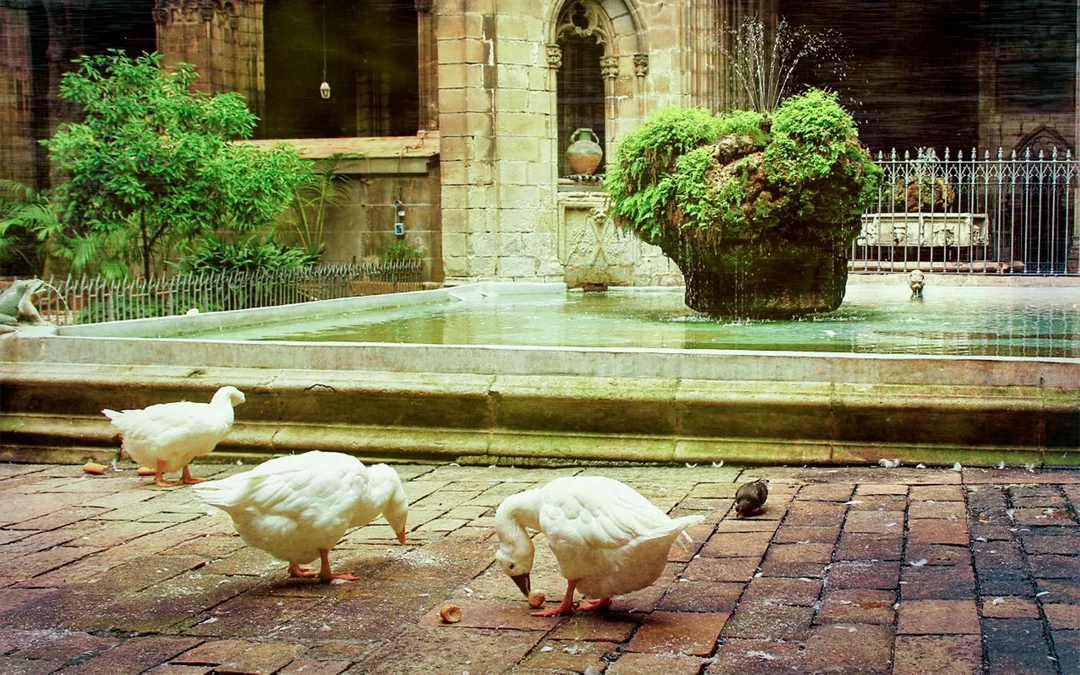 Barcelona Cathedral Guided Tour with Skip-the-Line Entry Image 9