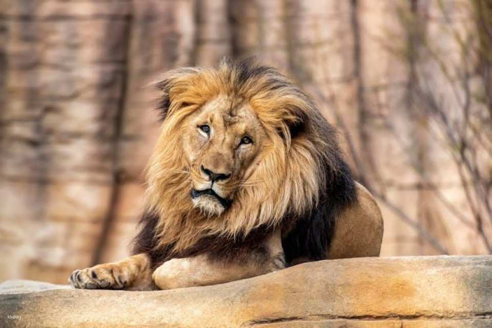 Barcelona Zoo Admission Tickets