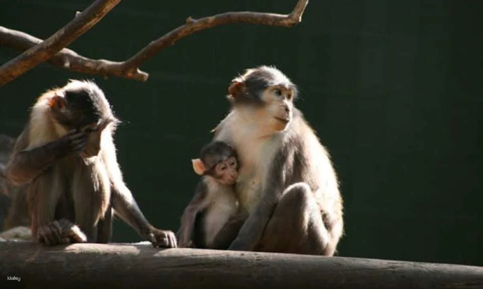 Barcelona Zoo Admission Tickets