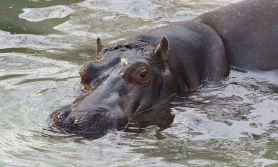Barcelona Zoo Admission Tickets