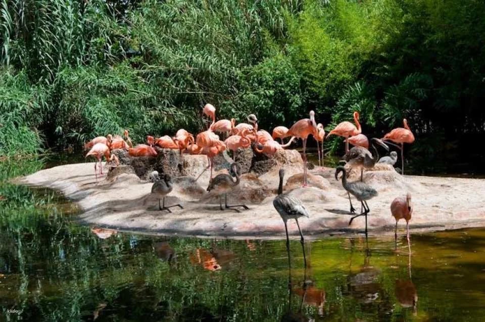 Barcelona Zoo Admission Tickets
