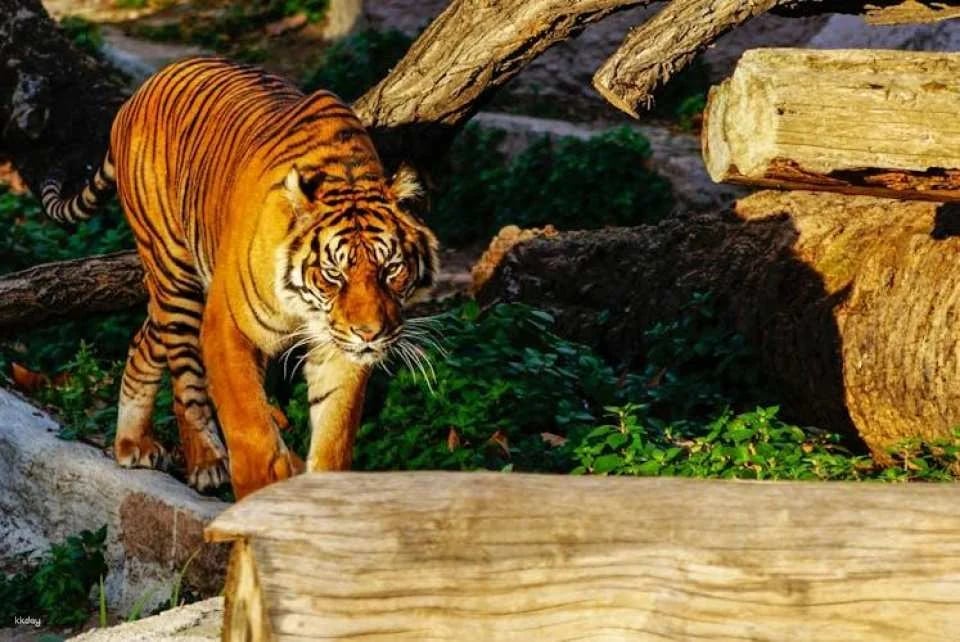 Barcelona Zoo Admission Tickets