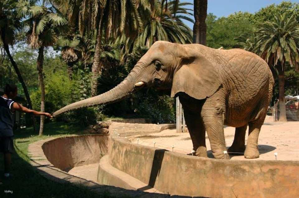 Barcelona Zoo Admission Tickets