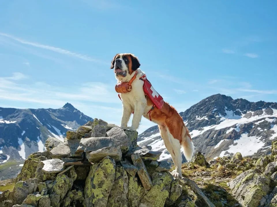 Barryland Martigny Tickets | Switzerland