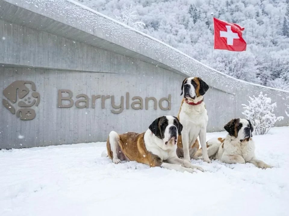 Barryland Martigny Tickets | Switzerland