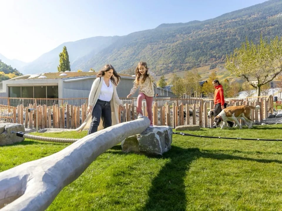 Barryland Martigny Tickets | Switzerland