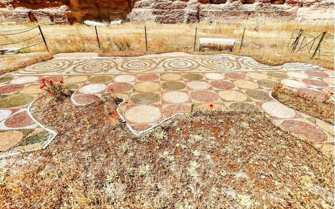 Baths of Caracalla and Circus Maximus Guided Tour Image 2