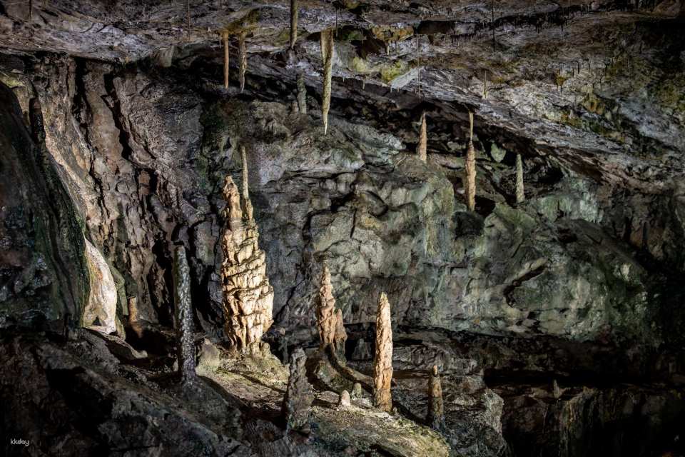 Beatus Caves Ticket