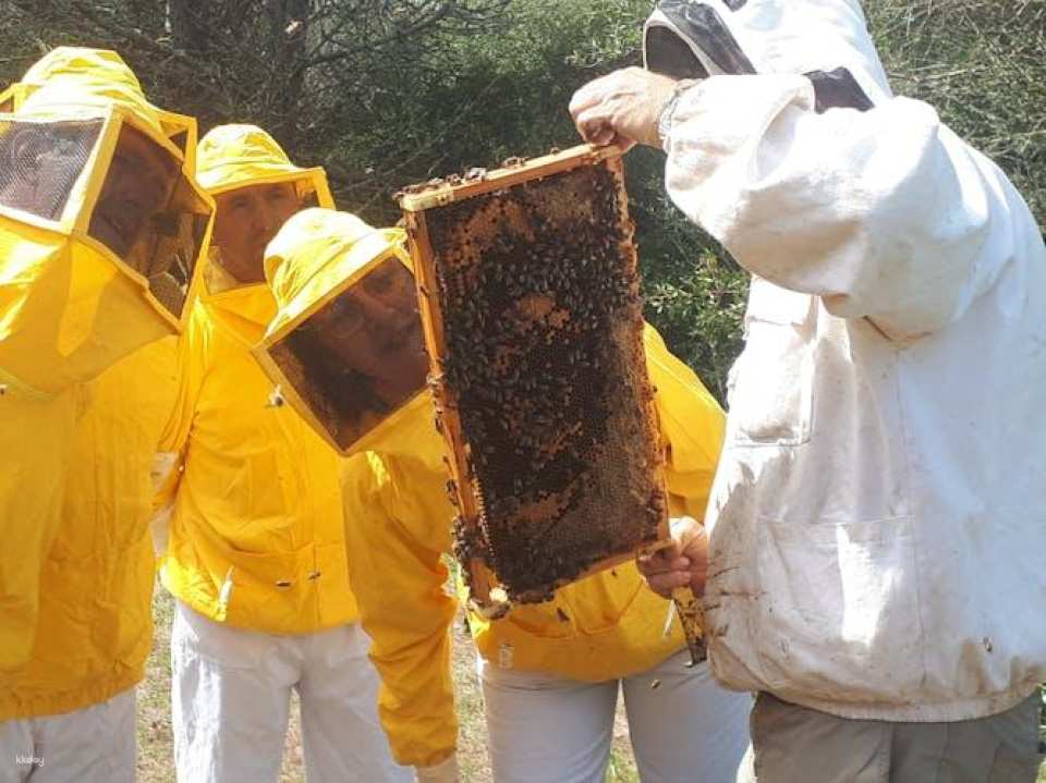 Beekeeping experience and honey-tasting in Menorca